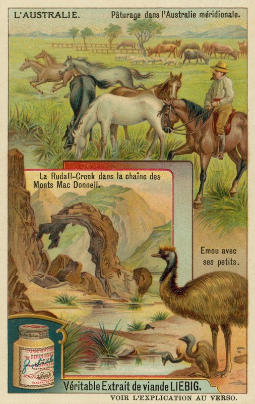 Cavalos no pasto, Ridells Creek nas montanhas MacDonnell e um emu com seus filhotes de European School