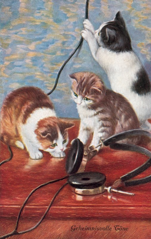 Postal humorístico de um gato (litografia a cores) de European School
