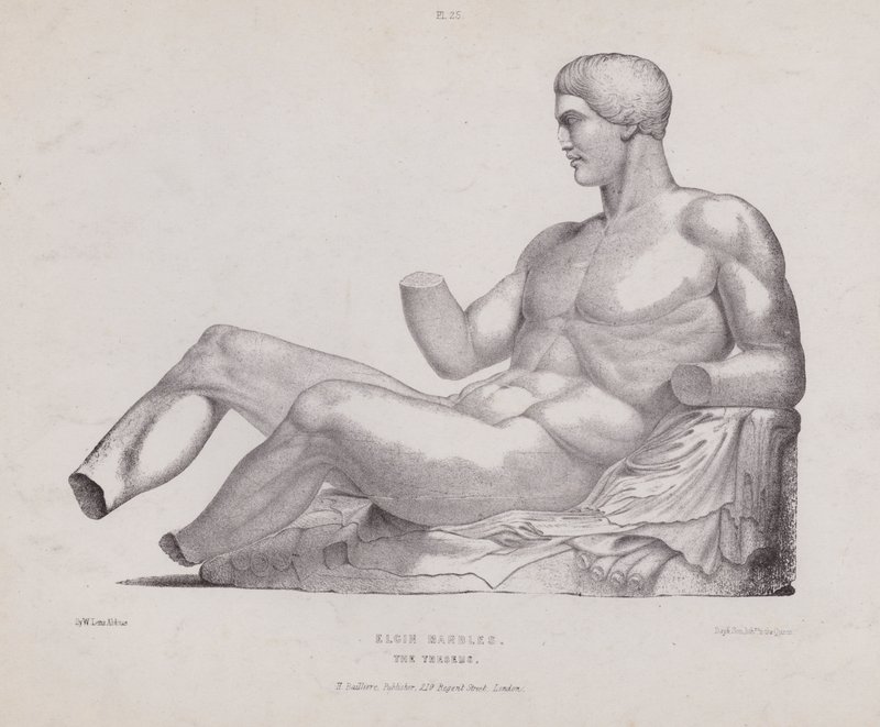 Ilustração para A Anatomia das Formas Externas do Homem: Elgin Marbles, The Theseus (litho) de European School