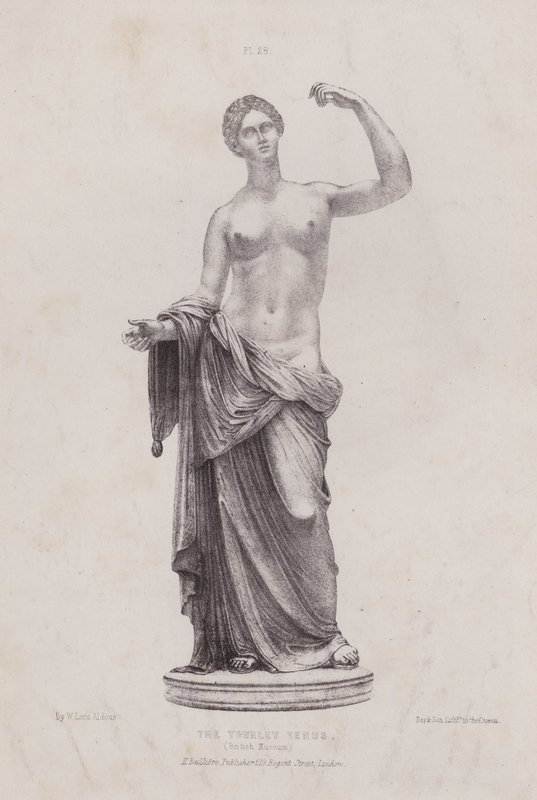 Ilustração para The Anatomy of the External Forms of Man (A anatomia das formas externas do homem): A Vénus de Townley, Museu Britânico (litografia) de European School