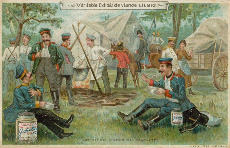Em um Bivouac de European School