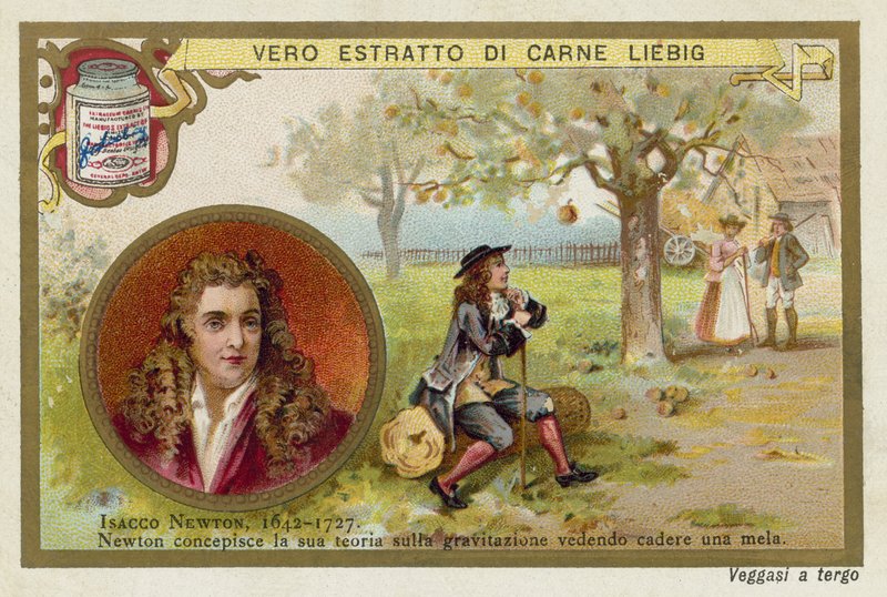 Isaac Newton, físico e matemático inglês de European School