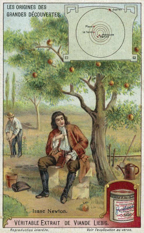 Isaac Newton e gravidade de European School