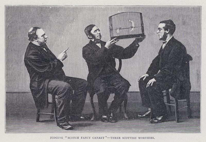 Julgando "Scotch Fancy Canary", Três Worthies Escoceses de European School