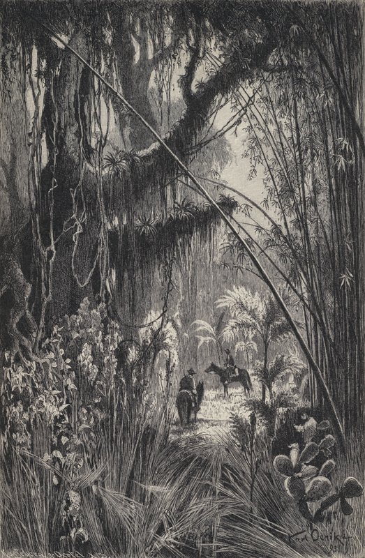 Selva na Cordilheira de Salta, noroeste da Argentina (litho) de European School