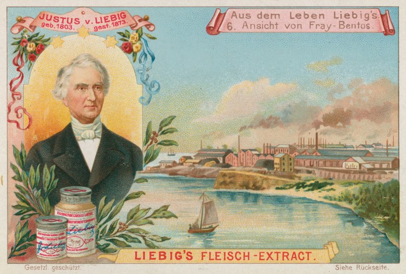 Justus von Liebig: Vista de Fray-Bentos de European School