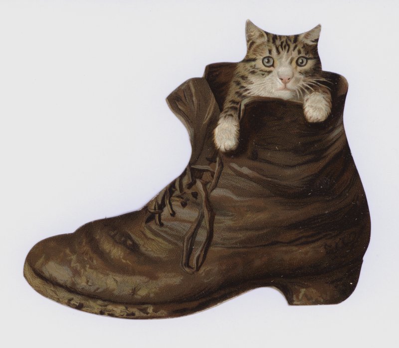 Gatinho em uma bota (cor litho) de European School