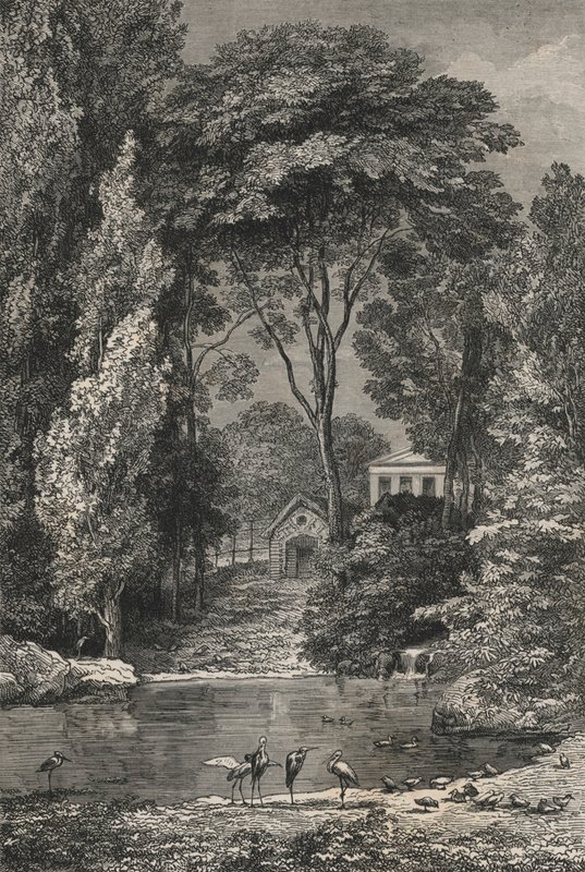 O Vale Suíço no Jardin Des Plantes De Paris (gravura) de European School