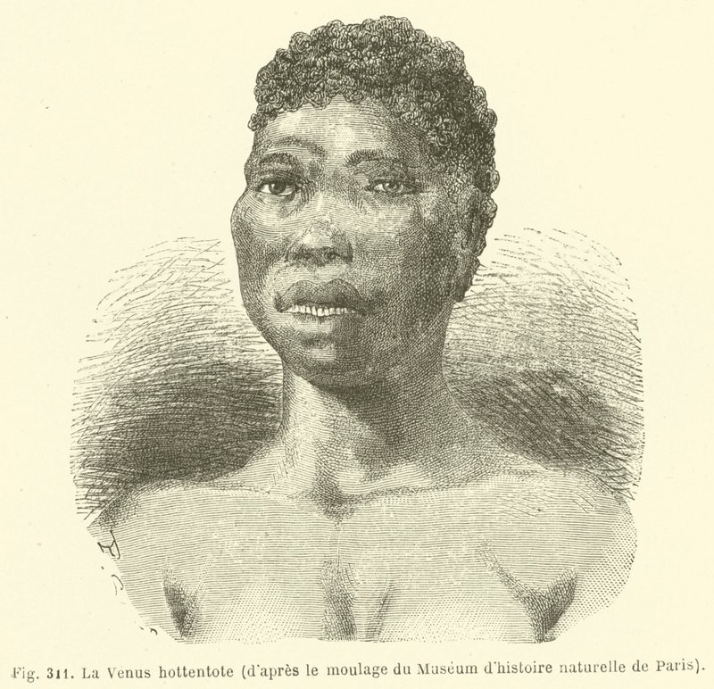 A Vénus Hottentot, do elenco do Museu de História Natural de Paris (gravura) de European School