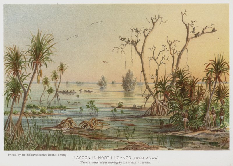 Lagoa no Norte de Loango, África Ocidental (cromolitografia) de European School