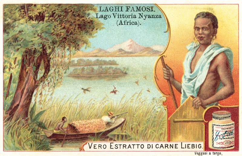 Lago Vitória, África (chromolitho) de European School