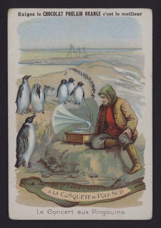 O Concerto dos Pinguins (cor litho) de European School