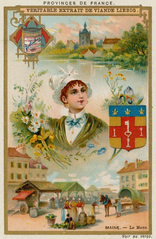 Maine de European School