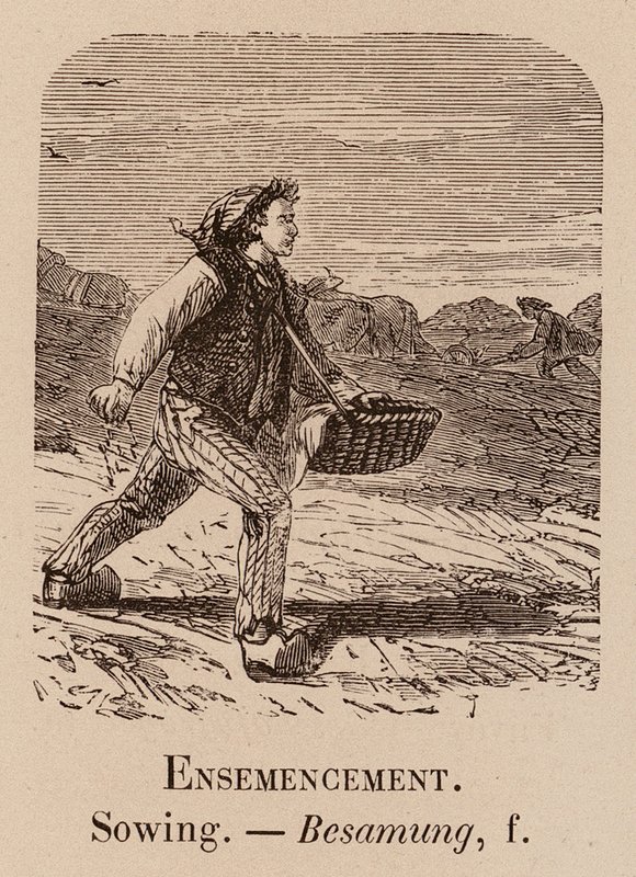 Le Vocabulaire Illustre: Ensemencement; Sowing; Besamung (gravura) de European School
