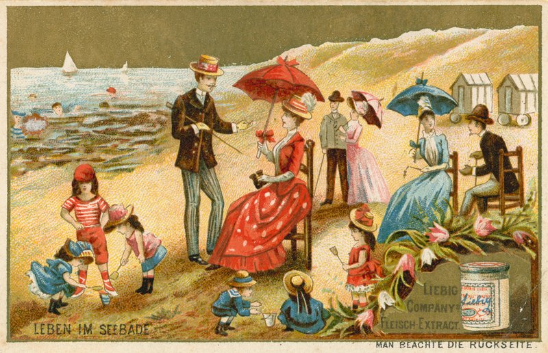 A vida à beira-mar de European School