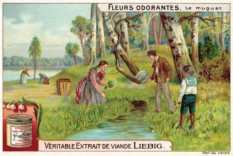 Lírio do vale (chromolitho) de European School