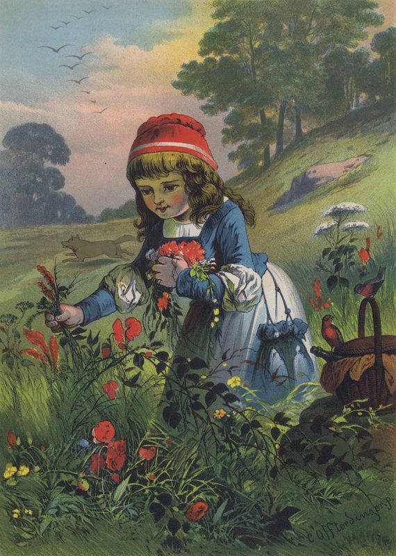 Capuchinho Vermelho (cor litho) de European School