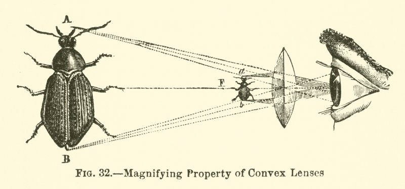 Propriedade Ampliadora de Lentes Convexas (gravura) de European School