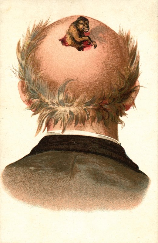 Cabeça de homem - com macaco a trepar para fora (cromolitho) de European School