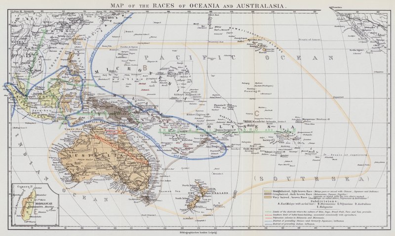 Mapa das Raças da Oceânia e Australásia (litografia a cores) de European School