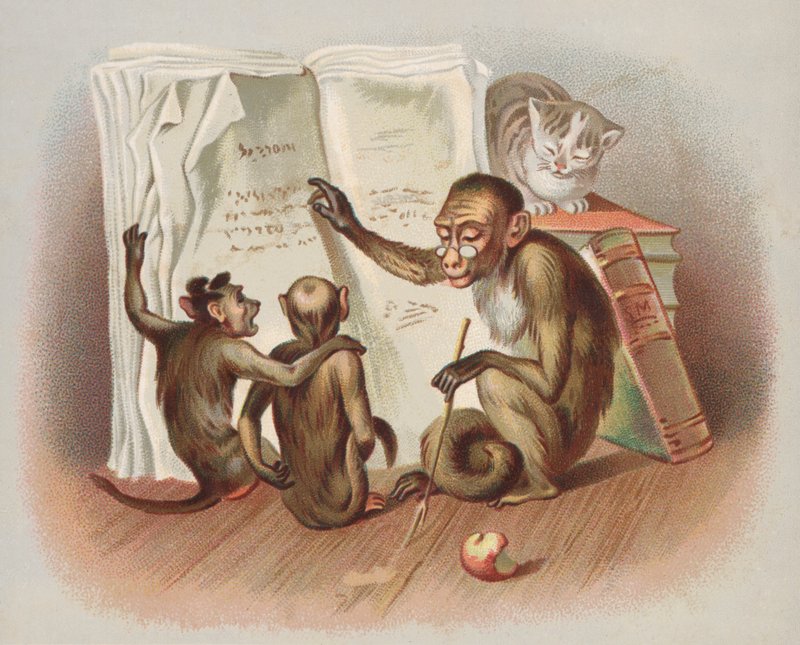 Ensino de macacos (chromolitho) de European School