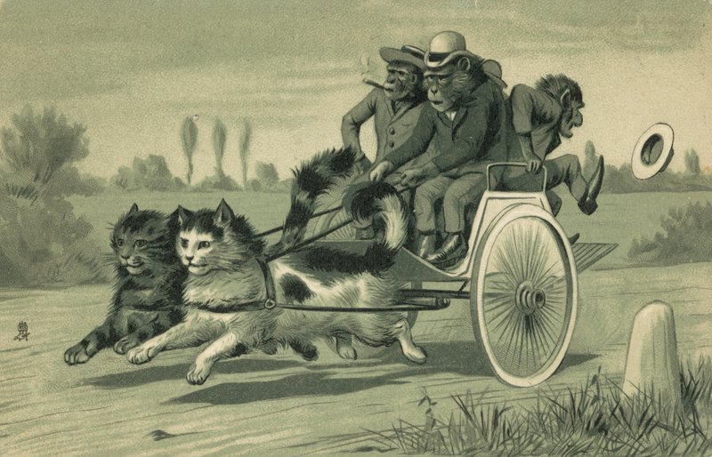 Macacos a conduzir uma carruagem puxada por dois gatos (litografia) de European School