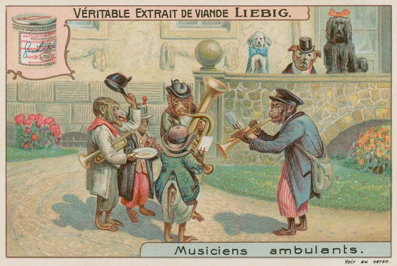 Macacos em uma banda de European School