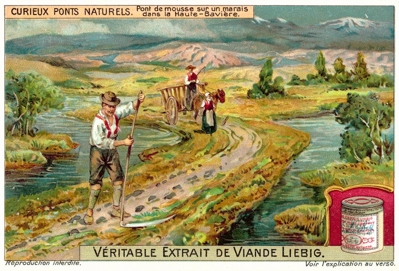 Ponte de musgo num pântano na Alta Baviera (chromolitho) de European School