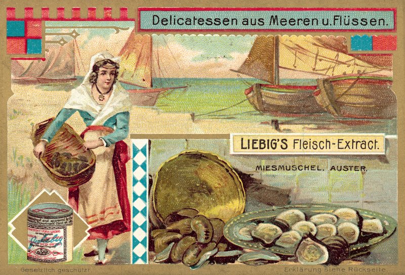 Mexilhões e ostras (chromolitho) de European School