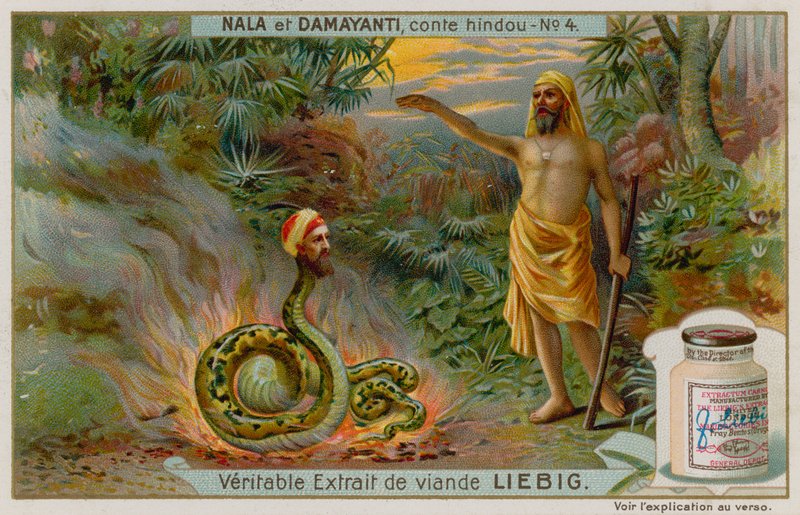 Nala salva a cobra Naga Karkotaka de European School