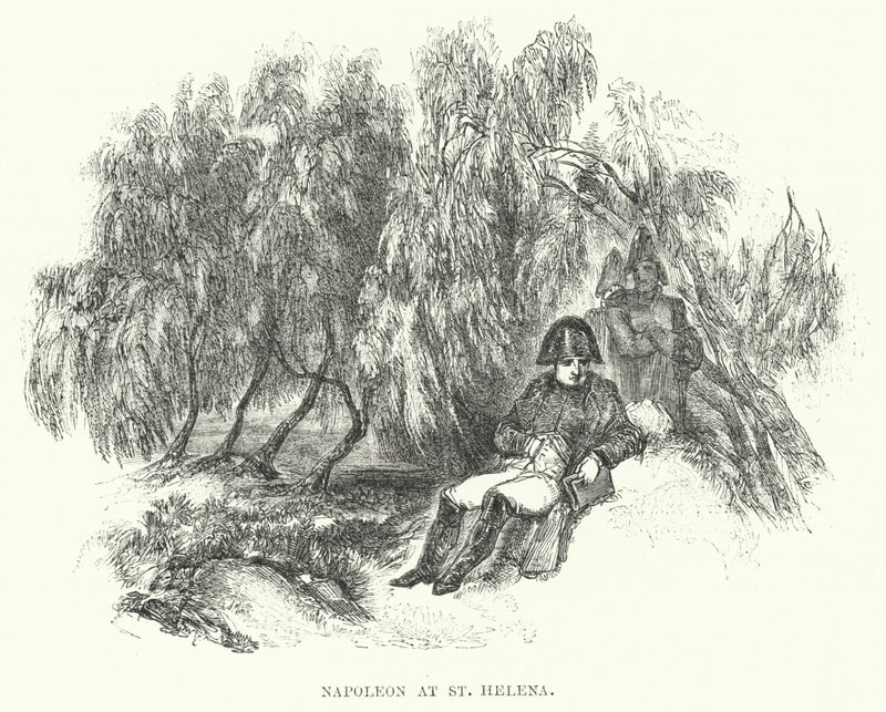 Napoleão em Santa Helena (gravura) de European School