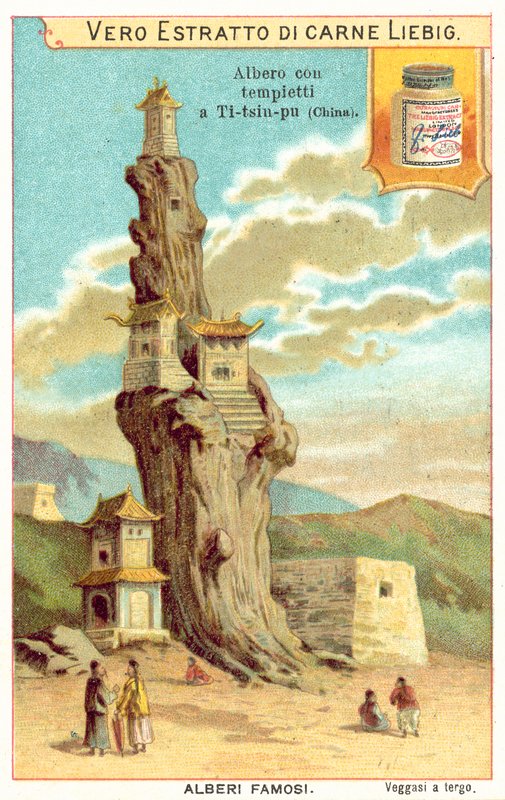 Velha árvore com templos na China (chromolitho) de European School