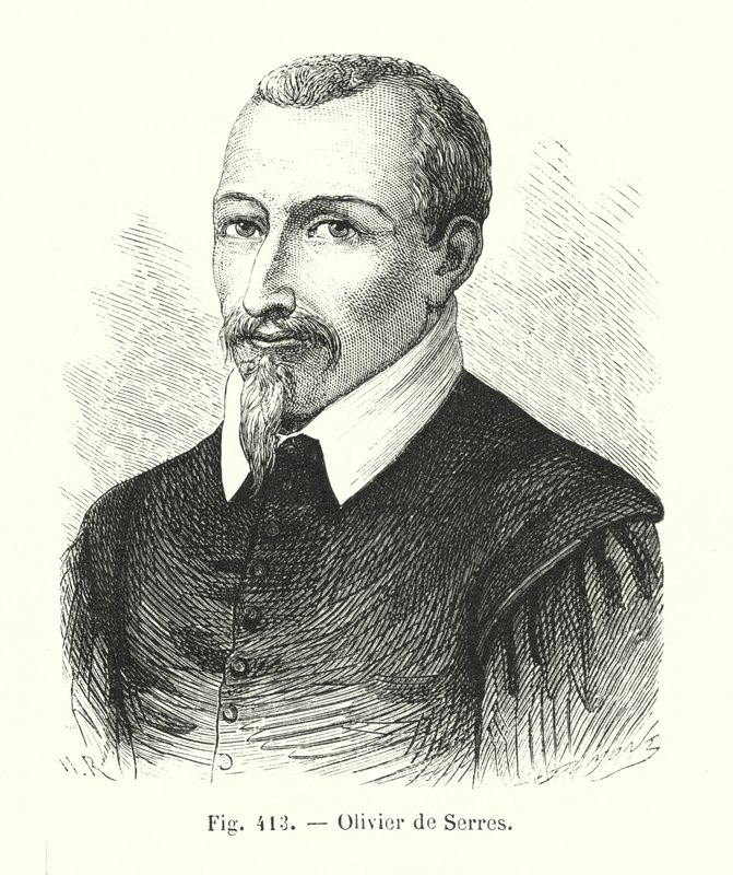 Oliveira de Serres de European School