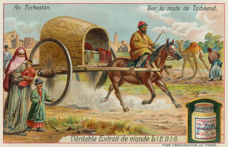 Na estrada para Tashkent no Uzbequistão de European School