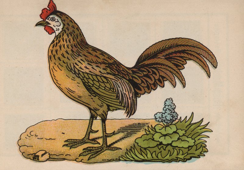 Página do Livro Mágico (cor litho) de European School