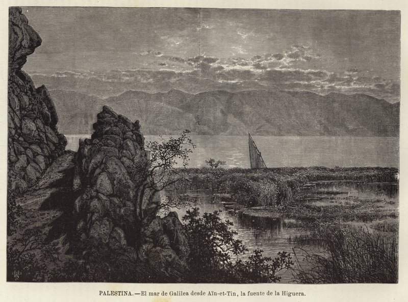 Palestina, O Mar da Galiléia de Ain-et-Tin, a fonte da Figueira de European School