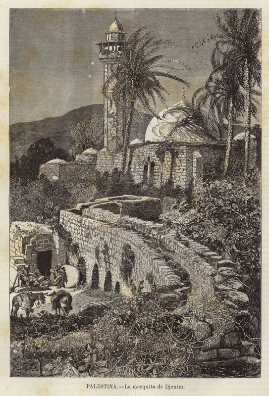 Palestina, a mesquita de Djenim de European School