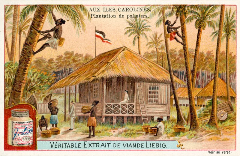 Plantação de palmeiras, Ilhas Caroline (chromolitho) de European School