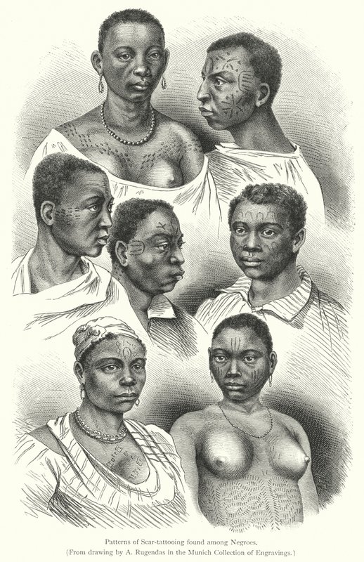 Padrões de tatuagem de cicatrizes encontrados entre os negros (gravura) de European School