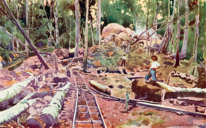 Penetrando na Floresta Amazônica, Estrada de Ferro Madeira-Mamore (litografia colorida) de European School