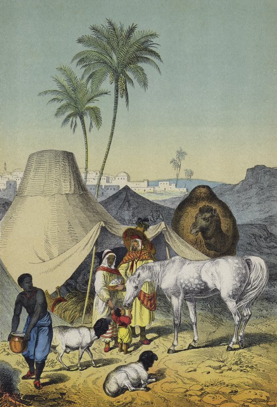 Pessoas, animais e plantas do Norte de África e da Arábia (cor litho) de European School