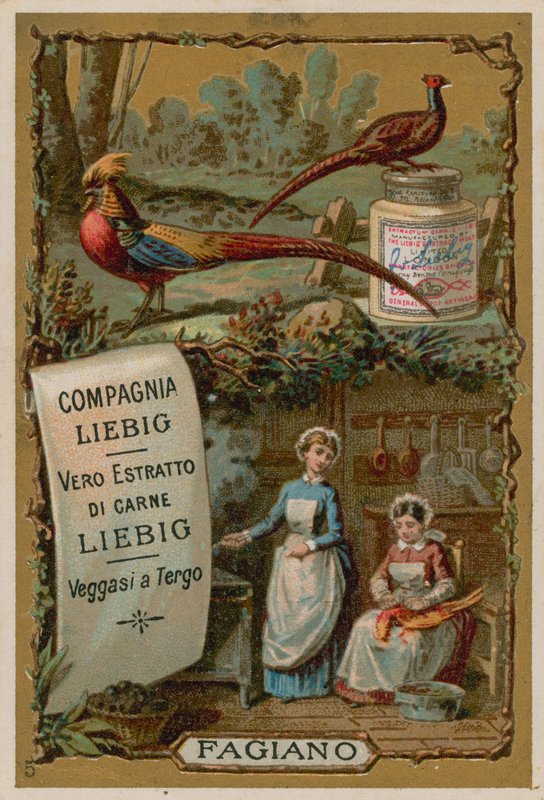 Faisão de European School