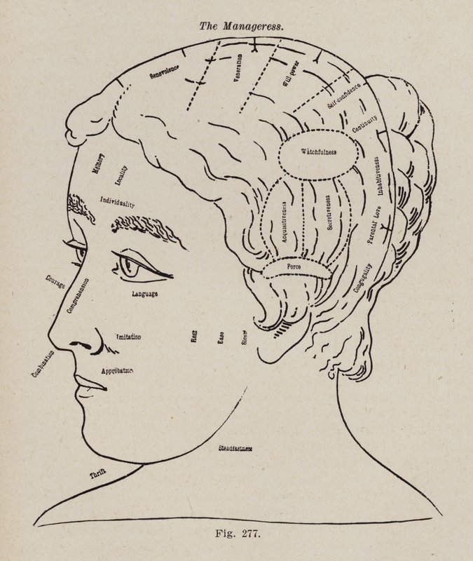 Frenologia, Uma Gerente (litho) de European School