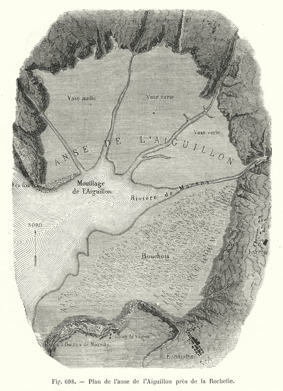 Mapa da enseada de Aiguillon perto de La Rochelle (gravura) de European School