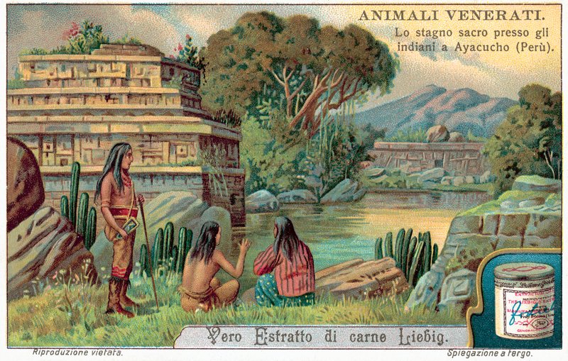 Piscina de peixes sagrados em Ayacucho, Peru (chromolitho) de European School