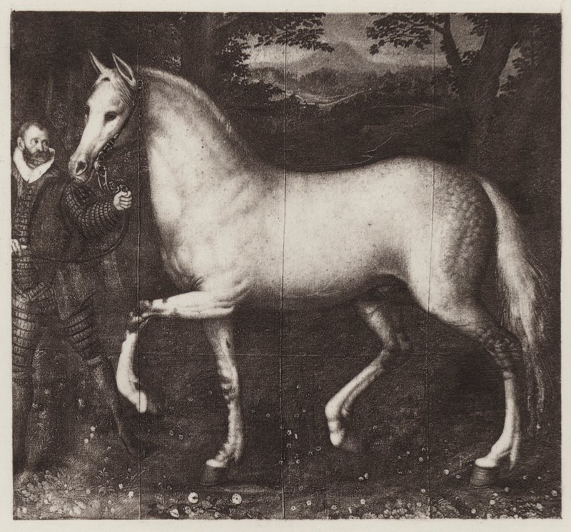 Cavalo da Rainha Elizabeth (litho) de European School