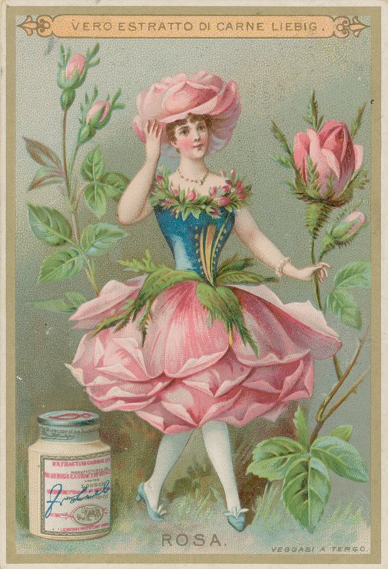 Menina de flor rosa de European School