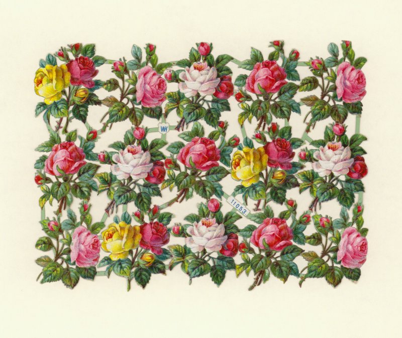 Rosas de European School