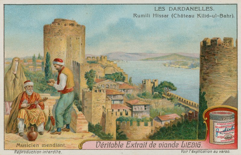 Rumelihisari, Istambul de European School