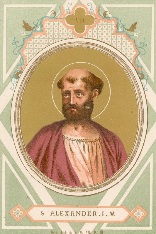 S Alexander IM de European School